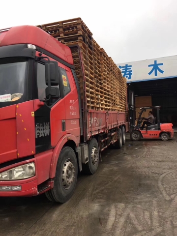 ����ľ����