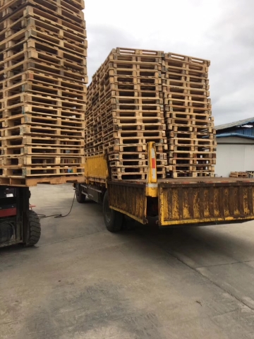 ����ľ����