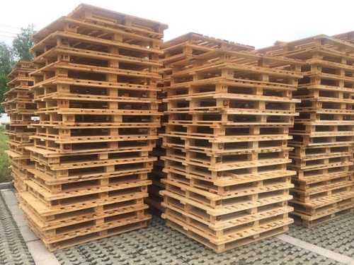 ����ľ����