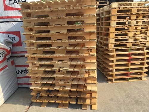 ����ľ����