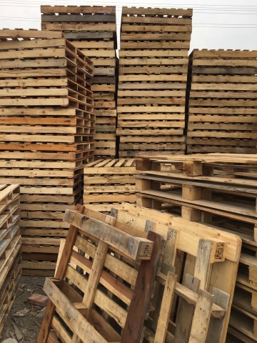 ����ľ����