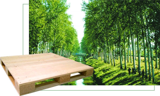 ���뾳��ľ����ΪʲôҪ�Ӹ�IPPC��